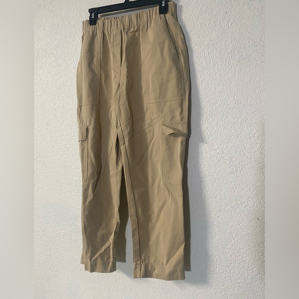 Babaton Aritzia Titan beige Cargo midrise ankle cotton silk blend pants size 8